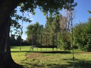 large trampoline with net in outdoor